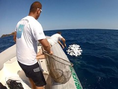 Petrechos de pesca a deriva recolhido por ambientalistas em Santos (Foto: Divulgação / Fundação Florestal)