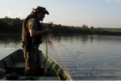 Piracema no estado do Parana