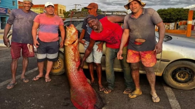 Pirarucu de 92 kg é capturado em afluente do Rio São Francisco em Malhada (BA)