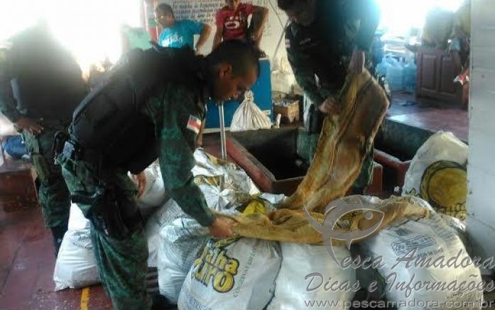 Batalhão apreende mais de 600 kg de pirarucu transportados ilegalmente no AM