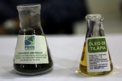 Piscicultores transformam oleo residual de peixes em biodiesel no Ceara