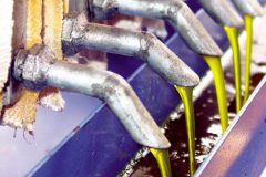 Piscicultores transformam oleo residual de peixes em biodiesel no Ceara 3