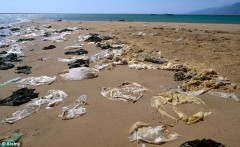 Plastico no mar da europa