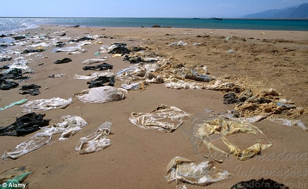 Estima-se que 5,25 trilhões de pedaços de plástico são encontrados nos oceanos