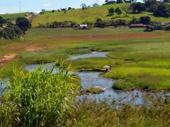 Poças no lago de Furnas no municipio de Alfenas