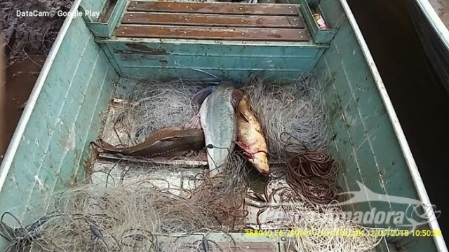 Policia Ambiental flagra pesca ilegal durante fiscalização no Rio Ivai (PR)