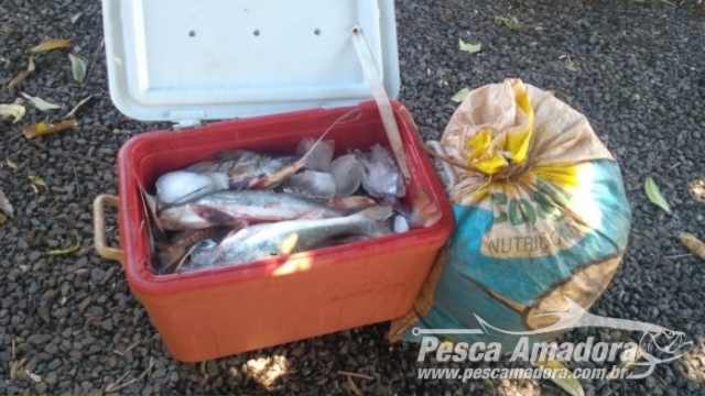 Polícia Ambiental flagra pesca ilegal no Lago de Itaipu em Santa Helena (PR)