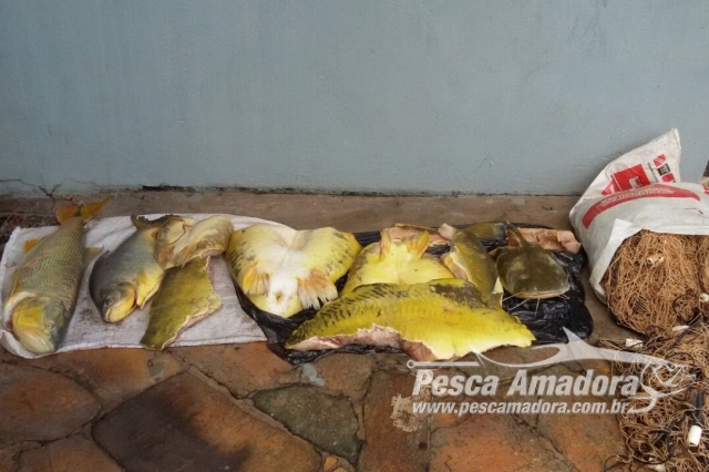 Policia Civil prende homem por pesca predatória e apreende redes e pescado no MT