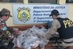 Policia rodoviaria federal apreende 117 kg de pescado ilegal no MS
