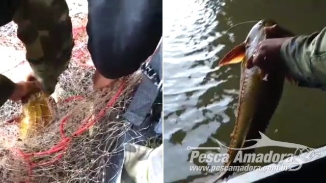 Policiais Ambientais recolhem redes presas em comporta de usina hidrelétrica no Rio Paranapanema