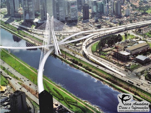 Resultados dos testes do Rio Pinheiros foram concluídos