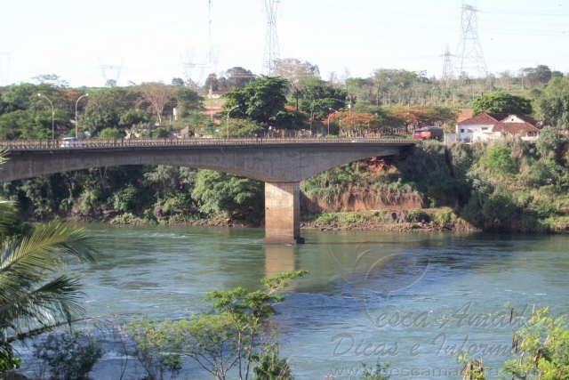 PMA apreende rede e 40 kg de peixes pescados ilegalmente no Rio Grande em MG
