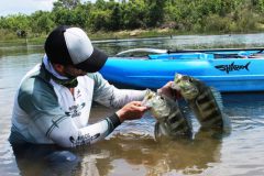 programa-remos-e-rumos-estreia-dia-29-de-setembro-na-fishtv-2