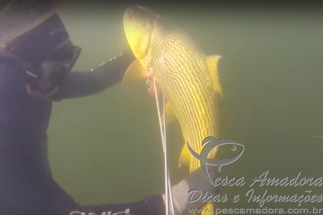 AGU derruba liminar que liberava pesca sub de espécies nativas no Rio Paraná