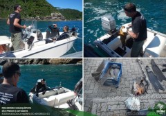 Quatro sao presos por pesca subaquatica em reserva biologica