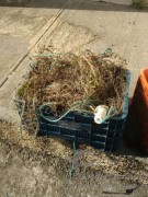 Rede apreendida com grupo no Rio Srocaba-SP