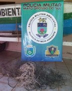 Rede apreendida no rio Paraná pelaPMA do Mato Grosso do Sul