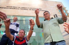 Redes anilhadas em SC