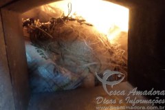 Redes de pesca sao incineradas no Rio Grande do Sul