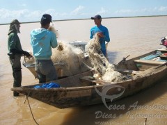 Redes e pescado apreendidos na Bahia