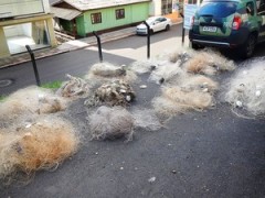 Redes retiradas edo rio do peixe em Luzerna 2