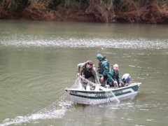 Redes retiradas edo rio do peixe em Luzerna