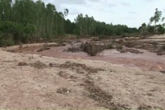 Represa transborda e mais de 150 toneladas de peixes morrem no PR 5