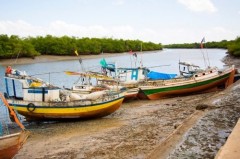 Reserva extrativista de Cururupu-MA