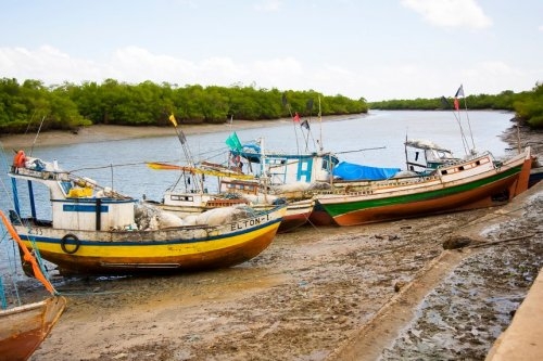 Procuradorias impedem liberação de rede de pesca predatória na reserva de Cururupu-MA