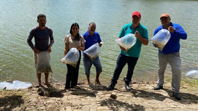 SAF insere 15 mil alevinos em açude e lago no município de Água Branca (PI)