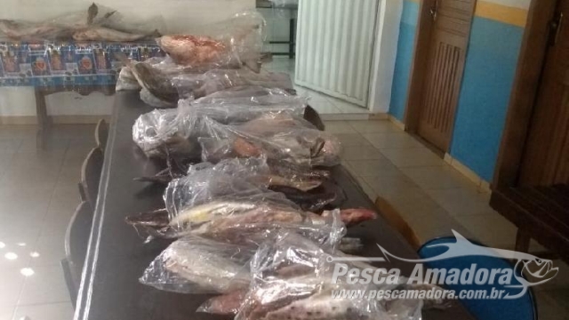 SEMA apreende 321 kg de pescado irregular em Sinop (MT)