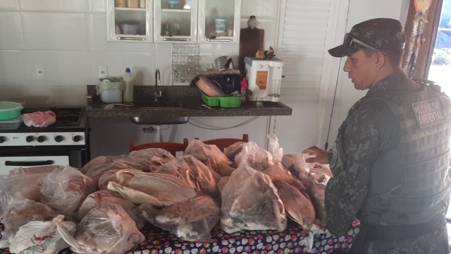 SEMA apreende 67 kg de pescado ilegal e armas de fogo em Primavera do Leste (MT)