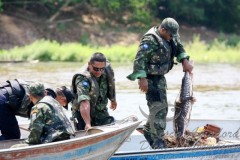 SEMA apreende pescado irregular no Mato Grosso