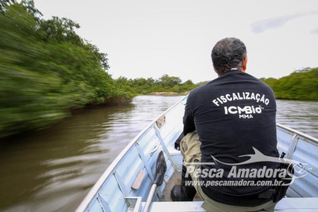STJ absolve pescador amador por devolver o peixe vivo ao rio em área de preservação