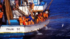 Santa Catarina é o maior produtor de pescado marinho do Brasil