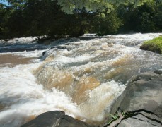 Seca afeta pesca e comercio no interior de Sao Paulo 3