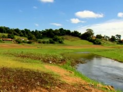 Lago de Furnas está em estado crítico (Foto: Fantástico - Rede Globo)