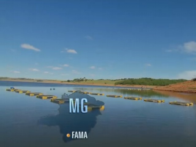 Minas Gerais fará parceria com o Ministério da Pesca para aumentar a produção de pescado