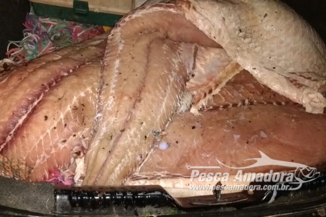 Secima apreende 164 kg de manta de pirarucu em Aruanã-GO