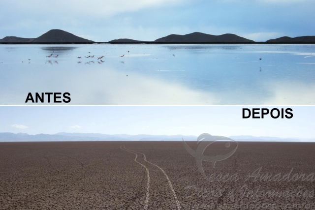 Segundo maior lago da Bolívia o “Poopó” em Oruro está desaparecendo