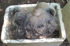 Seis pessoas foram presas por caca e pesca ilegal no Maranhao