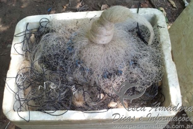 Seis pessoas foram presas por caça e pesca ilegal no Maranhão