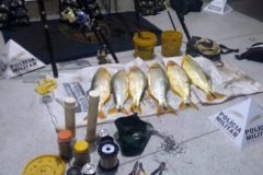 seis-pessoas-sao-presas-por-pesca-ilegal-no-rio-grande-em-minas-gerais