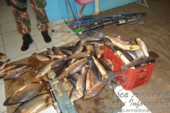 Seis turistas sao presos com 107 kg de pescado no MS