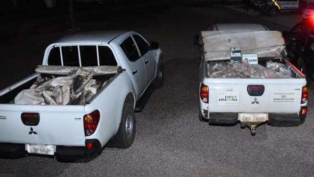 Sema apreende 729 kg de pescado impróprio para consumo em Rondonópolis (MT)