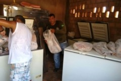 Sema apreende 972 Kg de pescado irregular no MT