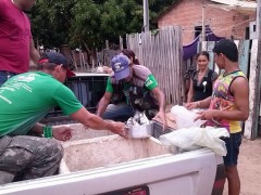 Sema apreende peixes em feira no Para