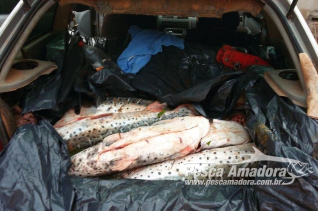 Sema apreende pescado irregular durante fiscalização no Rio das Mortes em MT