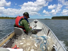 Sema e PM realizam fiscalizacao e apreensao no MT 2