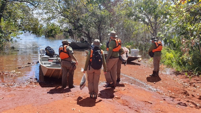 Semad apreende 164 kg de pescado ilegal durante fiscalização no lago Serra da Mesa (GO)